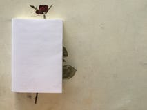 Dried red rose overlay in book. stock image Dried red rose overlay in book. stock image