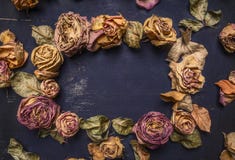 Dried Roses With Petals, Lined Frame With Space For Text Wooden Rustic Background Top View Close Up Royalty Free Stock Photo Dried Roses With Petals, Lined Frame With Space For Text Wooden Rustic Background Top View Close Up Royalty Free Stock Photo