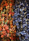 Dried Vegetables Stock Photography Dried Vegetables Stock Photography
