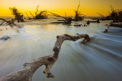 Driftwood στον ωκεανό, χρονική έκθεση στοκ φωτογραφία με δικαίωμα ελεύθερης χρήσης Driftwood στον ωκεανό, χρονική έκθεση στοκ φωτογραφία με δικαίωμα ελεύθερης χρήσης