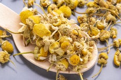 Droge kamillebloemen in een houten lepel op een grijze plaat stock foto Droge kamillebloemen in een houten lepel op een grijze plaat stock foto