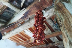 Droge peper die op het plafond hangen stock afbeelding Droge peper die op het plafond hangen stock afbeelding