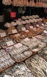 Droge vissen stock afbeeldingen Droge vissen stock afbeeldingen