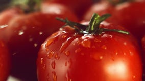 A drop of water falls on a ripe tomato