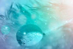 Drop of water on feather in cyan color, macro photo stock photos Drop of water on feather in cyan color, macro photo stock photos