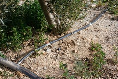 Droppbevattningsystem royaltyfri bild Droppbevattningsystem royaltyfri bild