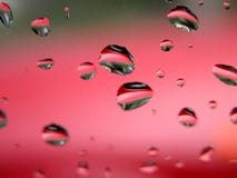 Drops of water - sharp macro