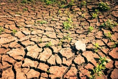 Drought Stock Photos Drought Stock Photos