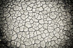 Dry Cracked Soil Dirt Stock Photography