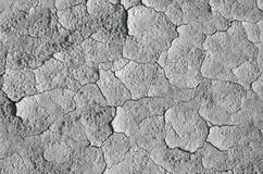 Dry Mud Texture, Raw Stock Image Dry Mud Texture, Raw Stock Image