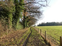 Drzewo wyk?ada? ?cie?k? obok ziemi uprawnej w zimie, Chorleywood obrazy stock Drzewo wyk?ada? ?cie?k? obok ziemi uprawnej w zimie, Chorleywood obrazy stock