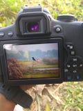 Camera royalty free stock image Camera royalty free stock image
