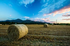 Du comté coucher du soleil vers le bas et montagnes de Mourne photographie stock libre de droits Du comté coucher du soleil vers le bas et montagnes de Mourne photographie stock libre de droits
