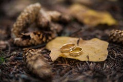Duas alianças de casamento no sinal da infinidade em uma madeira Conceito do amor fotos de stock Duas alianças de casamento no sinal da infinidade em uma madeira Conceito do amor fotos de stock