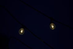 Duas ampolas de suspensão do diodo emissor de luz imagem de stock Duas ampolas de suspensão do diodo emissor de luz imagem de stock