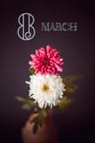 Duas flores como oito de março Fotos de Stock Royalty Free Duas flores como oito de março Fotos de Stock Royalty Free