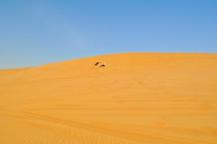 Duas pessoas cruzam o deserto Feriado ativo em Dubai Deserto arenoso ilimitado fotografia de stock royalty free Duas pessoas cruzam o deserto Feriado ativo em Dubai Deserto arenoso ilimitado fotografia de stock royalty free