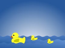 Duck Family Swimming Stock Photography