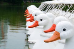Duck Pedal Boats. Stock Photo Duck Pedal Boats. Stock Photo