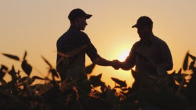 Due agricoltori parlano sul campo, quindi stringono le mani Utilizzi una compressa fotografia stock libera da diritti Due agricoltori parlano sul campo, quindi stringono le mani Utilizzi una compressa fotografia stock libera da diritti