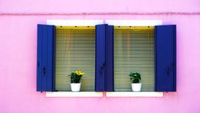 Due blu Windows sulla parete rosa di colore fotografie stock libere da diritti Due blu Windows sulla parete rosa di colore fotografie stock libere da diritti