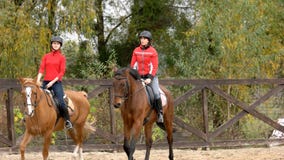 Due cavalli da equitazione delle giovani donne fotografia stock libera da diritti Due cavalli da equitazione delle giovani donne fotografia stock libera da diritti