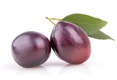 Due prugne mature con le foglie Immagini Stock Libere da Diritti Due prugne mature con le foglie Immagini Stock Libere da Diritti