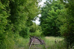 Due strade ferrate strette, le rotaie, percorsi divergenti, dispongono il tiratore ferroviario di trasferimento fotografia stock Due strade ferrate strette, le rotaie, percorsi divergenti, dispongono il tiratore ferroviario di trasferimento fotografia stock