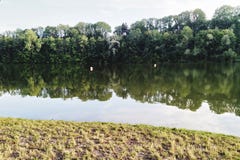 Duidelijk water, die op bomen, tijd wijzen te zwemmen stock foto Duidelijk water, die op bomen, tijd wijzen te zwemmen stock foto