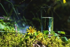 Duidelijk water in een duidelijk glas tegen een achtergrond van groen mos met een bergrivier op de achtergrond Gezond voedsel stock afbeeldingen Duidelijk water in een duidelijk glas tegen een achtergrond van groen mos met een bergrivier op de achtergrond Gezond voedsel stock afbeeldingen