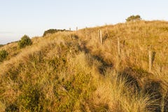 Duinen Vlieland de Op. Sys., dunas en Vlieland fotografía de archivo libre de regalías Duinen Vlieland de Op. Sys., dunas en Vlieland fotografía de archivo libre de regalías
