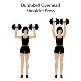 Dumbbell overhead shoulder press exercise royalty free illustration Dumbbell overhead shoulder press exercise royalty free illustration