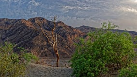 Dunas de areia em Death Valley foto de stock royalty free Dunas de areia em Death Valley foto de stock royalty free