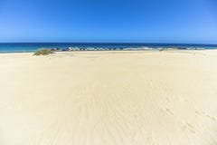 Dunas de Corralejo, αμμόλοφοι άμμου με τη θάλασσα, Fuerteventura Στοκ εικόνες με δικαίωμα ελεύθερης χρήσης Dunas de Corralejo, αμμόλοφοι άμμου με τη θάλασσα, Fuerteventura Στοκ εικόνες με δικαίωμα ελεύθερης χρήσης
