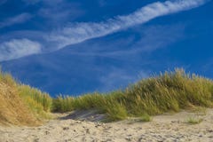 Dunas en De Haan, costa de Mar del Norte del belga contra horizonte azul fotografía de archivo libre de regalías Dunas en De Haan, costa de Mar del Norte del belga contra horizonte azul fotografía de archivo libre de regalías