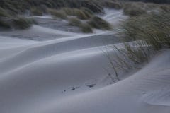 Dune con erba alla costa del Mare del Nord in Zelandia nei Paesi Bassi immagini stock Dune con erba alla costa del Mare del Nord in Zelandia nei Paesi Bassi immagini stock