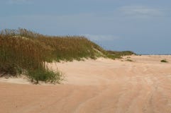 Dunes And Beach Meet Stock Images