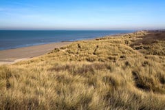 Dunes At The Coast