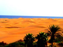 Dunes de Sandy en plage naturelle célèbre de Maspalomas Gran Canaria l'espagne image stock Dunes de Sandy en plage naturelle célèbre de Maspalomas Gran Canaria l'espagne image stock