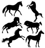 Dunkles wildes Pferd, laufende Pferde vector die Schattenbilder, die auf weißem Hintergrund lokalisiert werden Stockfoto Dunkles wildes Pferd, laufende Pferde vector die Schattenbilder, die auf weißem Hintergrund lokalisiert werden Stockfoto
