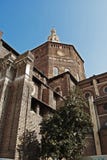 Duomo Of Pavia Royalty Free Stock Images