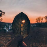 DURCH DIE AUGEN DER NATUR lizenzfreies stockbild DURCH DIE AUGEN DER NATUR lizenzfreies stockbild