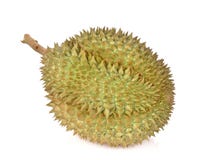 Durian isolato su priorità bassa bianca fotografia stock Durian isolato su priorità bassa bianca fotografia stock