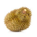 Durian isolato su priorità bassa bianca fotografia stock libera da diritti Durian isolato su priorità bassa bianca fotografia stock libera da diritti
