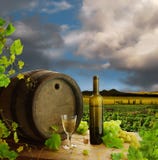 Durée de vin toujours blanc avec la vigne image stock Durée de vin toujours blanc avec la vigne image stock