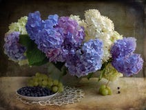 Durée toujours avec un hydrangea photographie stock Durée toujours avec un hydrangea photographie stock