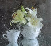 durée toujours avec un lis blanc après glace photographie stock durée toujours avec un lis blanc après glace photographie stock