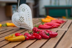 Durée toujours 1 Poivrons de piments en été image stock Durée toujours 1 Poivrons de piments en été image stock