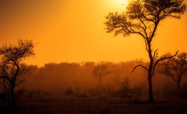 Dusty Sunrise in Zuid-Afrika stock fotografie Dusty Sunrise in Zuid-Afrika stock fotografie