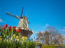 Dutch Windmill And Tulips Royalty Free Stock Photography